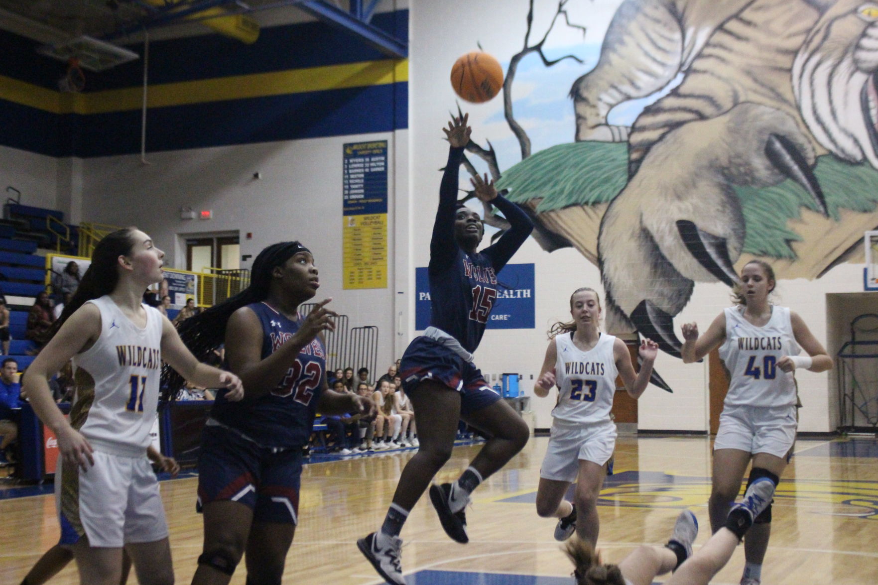 girls basketball.JPG